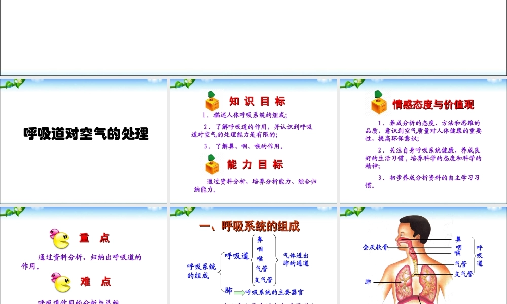 七年级生物下册第二章第一节__呼吸道对空气的处理.ppt