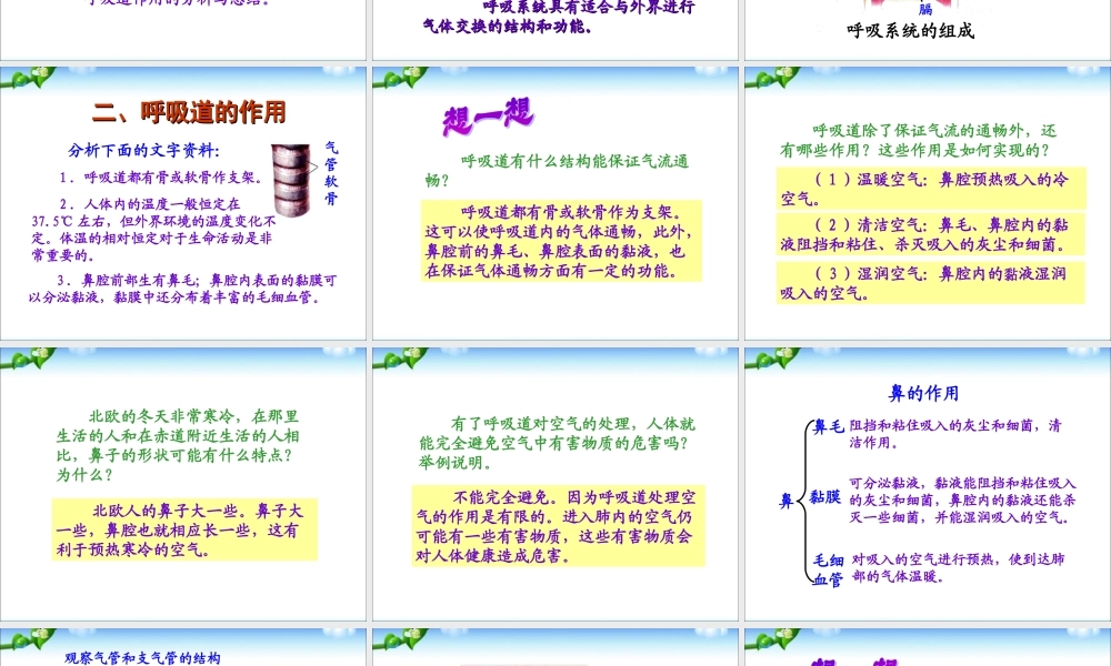 七年级生物下册第二章第一节__呼吸道对空气的处理.ppt