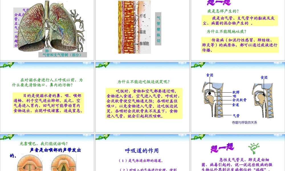 七年级生物下册第二章第一节__呼吸道对空气的处理.ppt