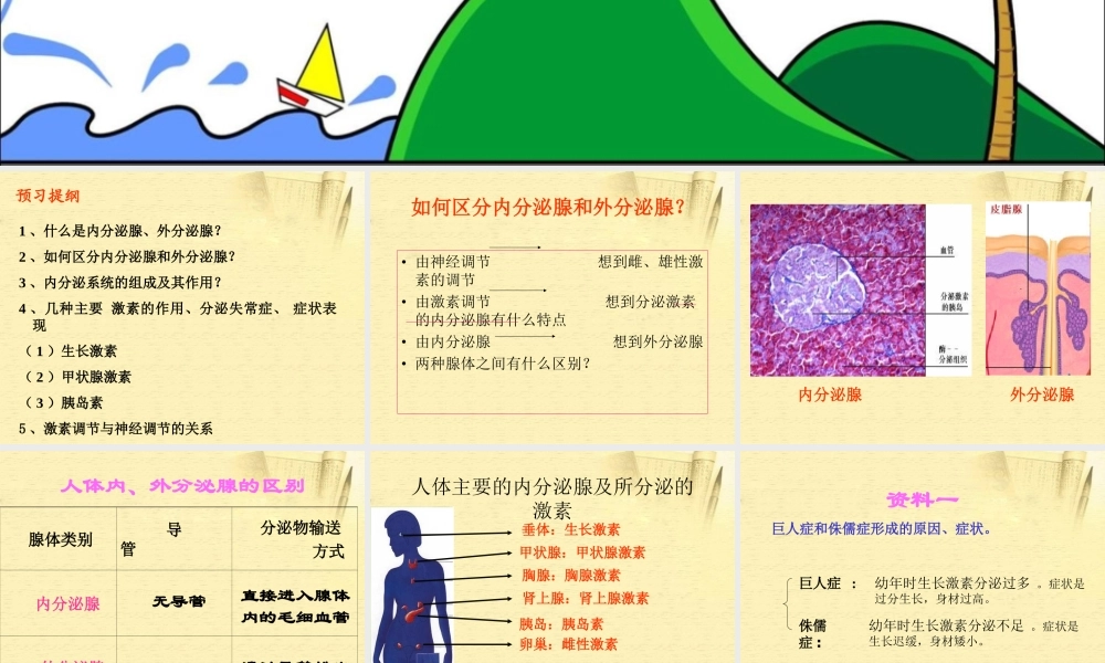 七年级生物下册_第四节_激素调节课件_人教新课标版 (1).ppt