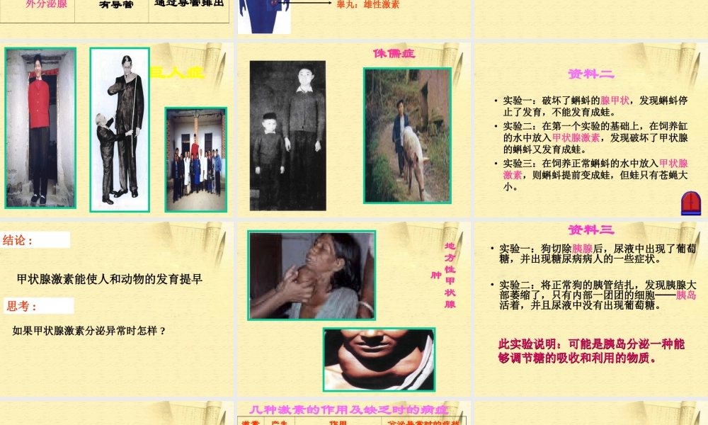 七年级生物下册_第四节_激素调节课件_人教新课标版 (1).ppt