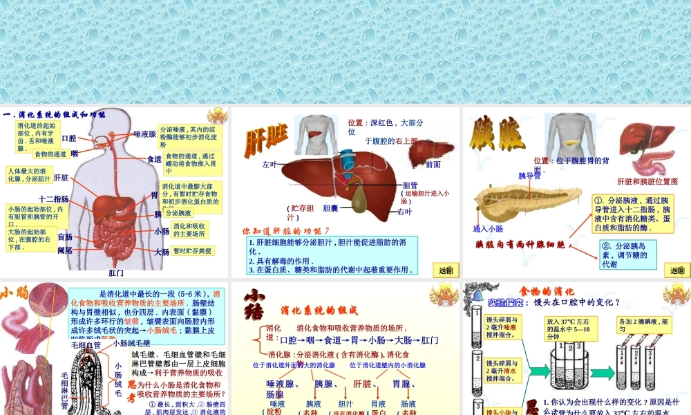 七年级生物消化和吸收2.ppt