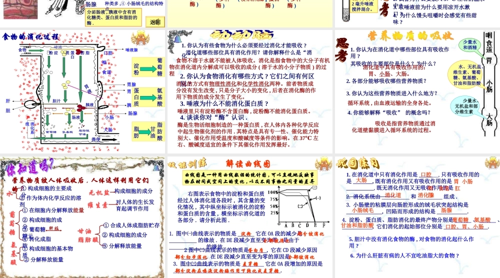 七年级生物消化和吸收2.ppt