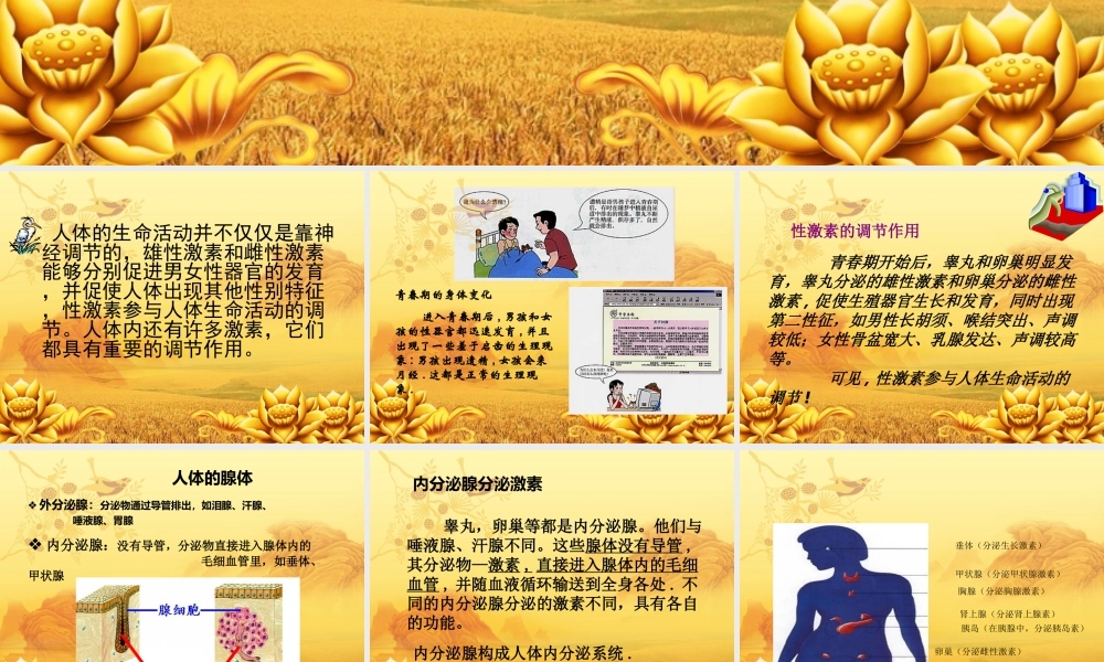 七年级下册生物6.4激素调节.ppt