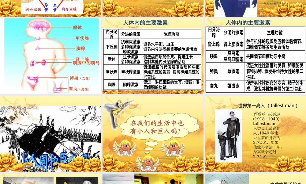 七年级下册生物6.4激素调节.ppt