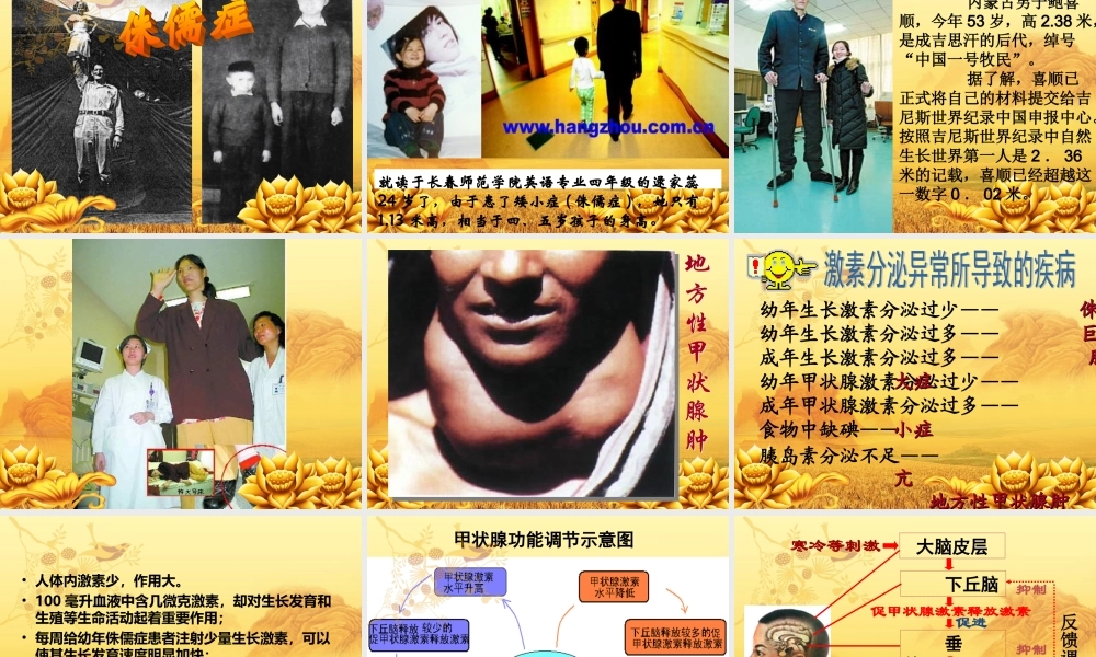 七年级下册生物6.4激素调节.ppt