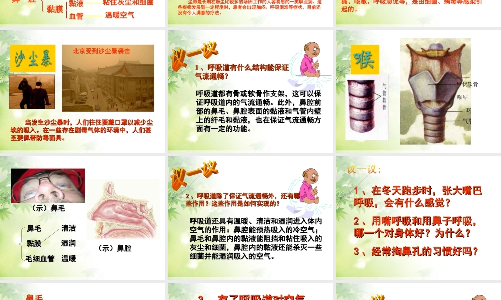 七年级生物下册第一节___呼吸道对空气的处理课件.ppt