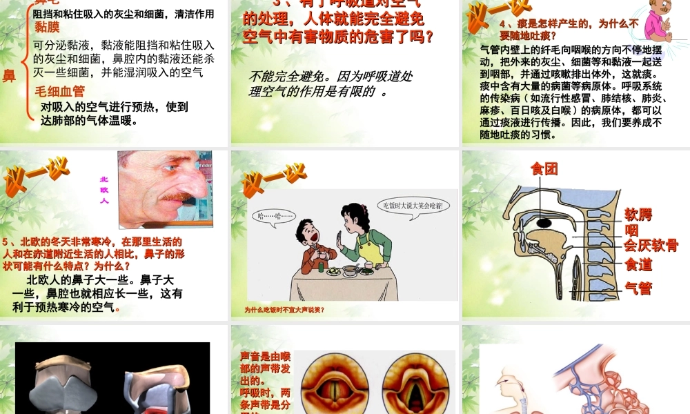 七年级生物下册第一节___呼吸道对空气的处理课件.ppt