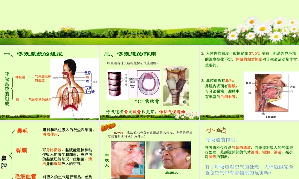七年级生物下册_第三章_第一节_呼吸道对空气的处理课件_新人教版.ppt