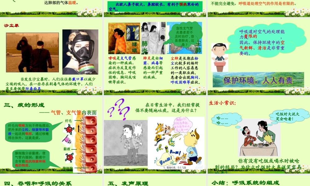 七年级生物下册_第三章_第一节_呼吸道对空气的处理课件_新人教版.ppt