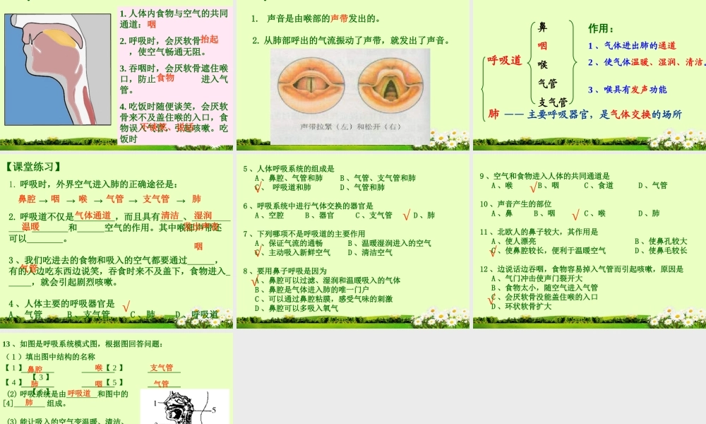 七年级生物下册_第三章_第一节_呼吸道对空气的处理课件_新人教版.ppt