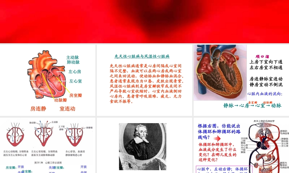 七年级生物下册4.4.3输送血液的泵--心脏课件人教新课标版.ppt