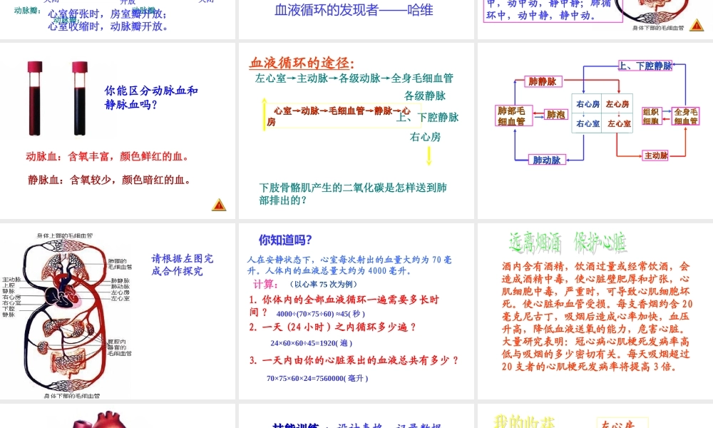七年级生物下册4.4.3输送血液的泵--心脏课件人教新课标版.ppt