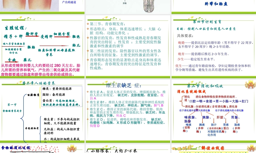 七年级生物下册复习.ppt