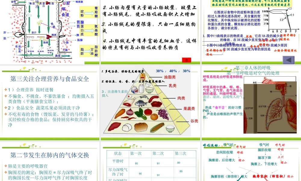 七年级生物下册复习.ppt