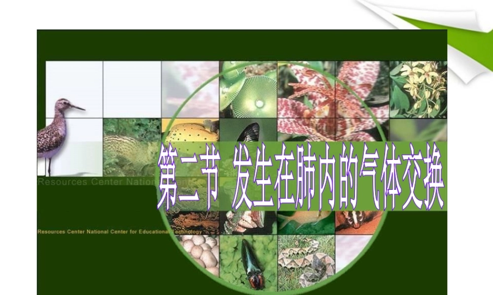 七年级下册生物发生在肺内的气体交换.ppt