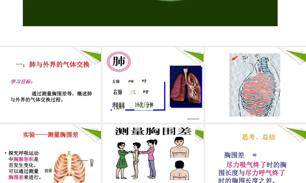 七年级下册生物发生在肺内的气体交换.ppt