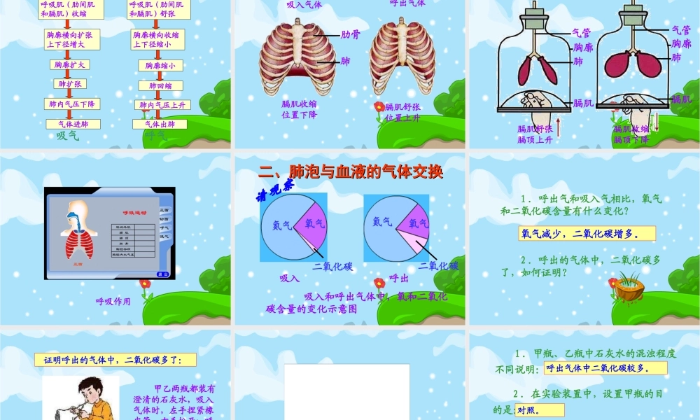 七年级生物下册第二节__发生在肺内的气体交换.ppt