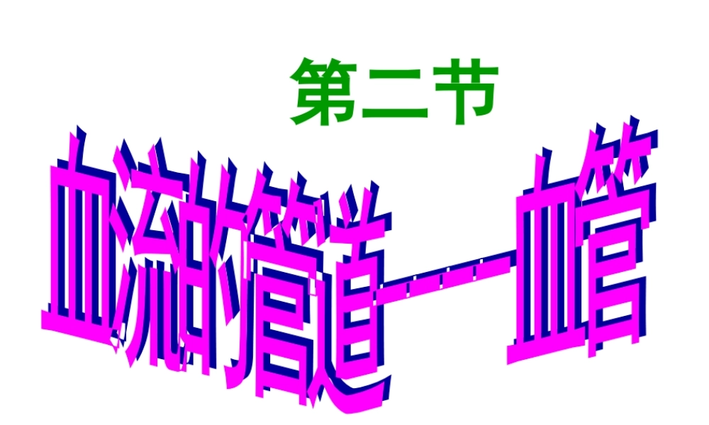 七年级生物下册第四章第二节血流的管道-血管课件_人教版.ppt