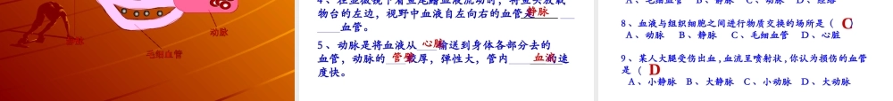 七年级生物下册第四章第二节血流的管道-血管课件_人教版.ppt