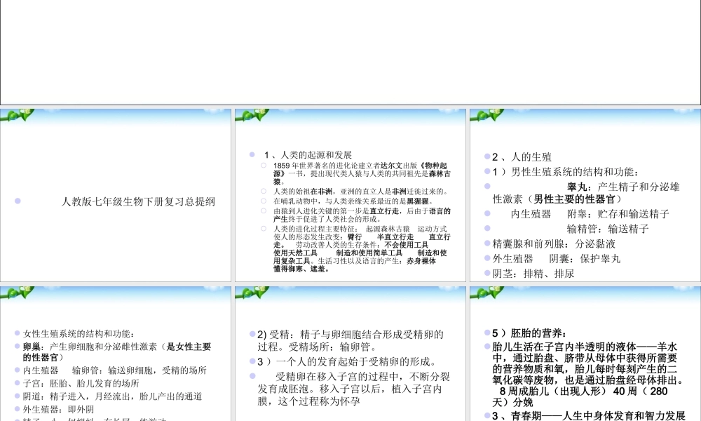 七年级下册生物复习提纲_.ppt