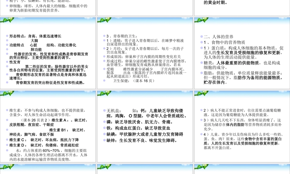 七年级下册生物复习提纲_.ppt