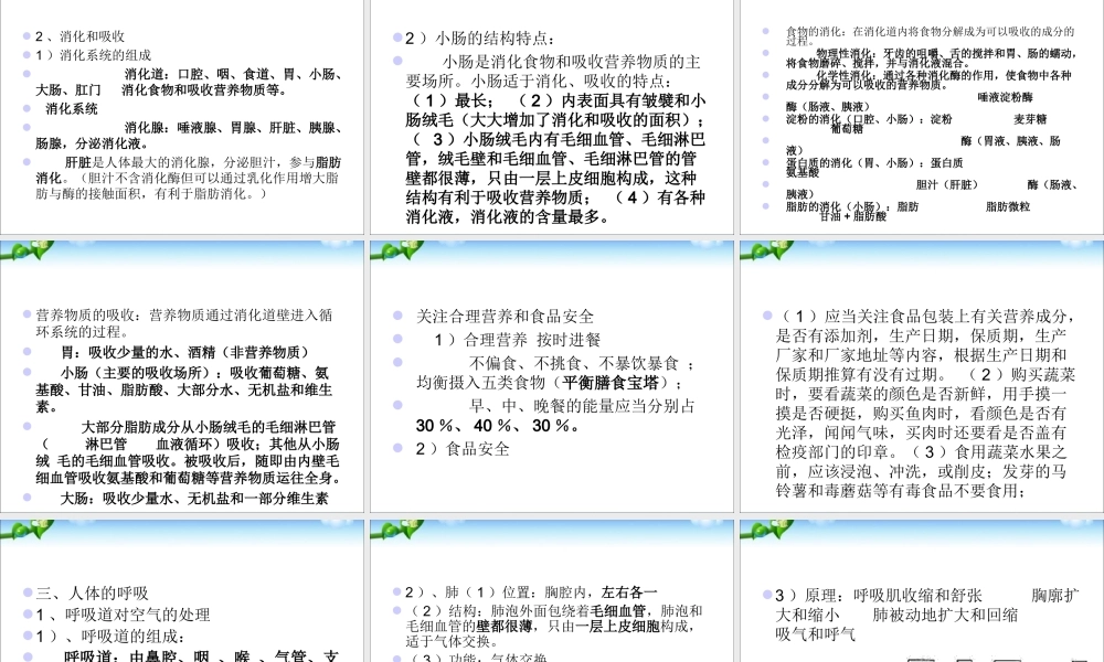 七年级下册生物复习提纲_.ppt