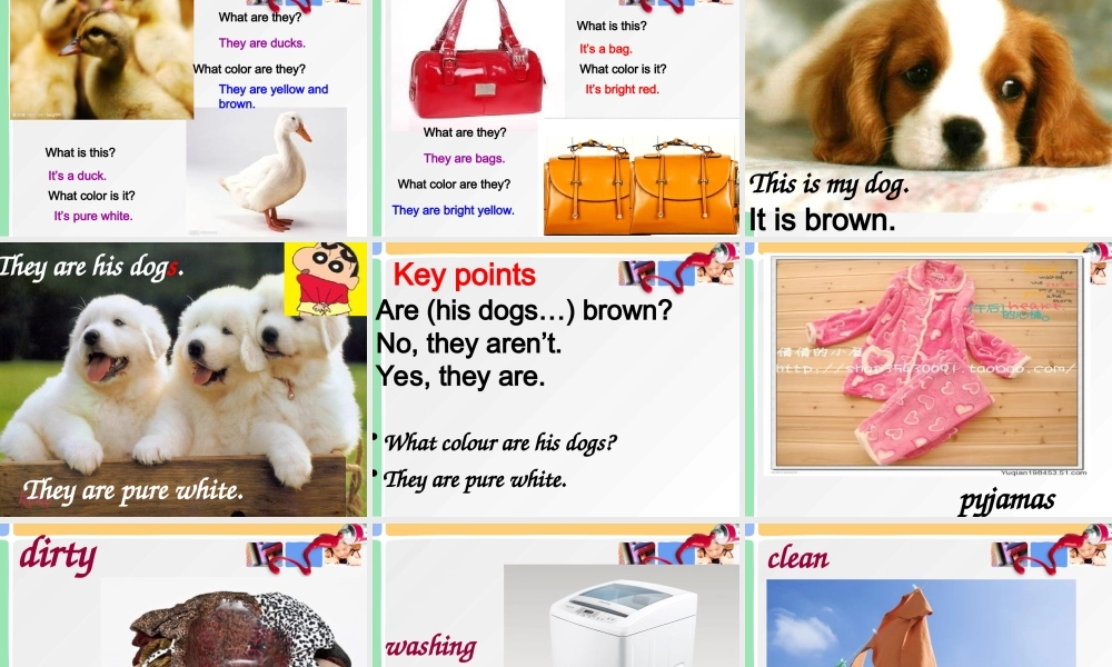 青少版_新概念1A_Unit_9（共33页）.ppt