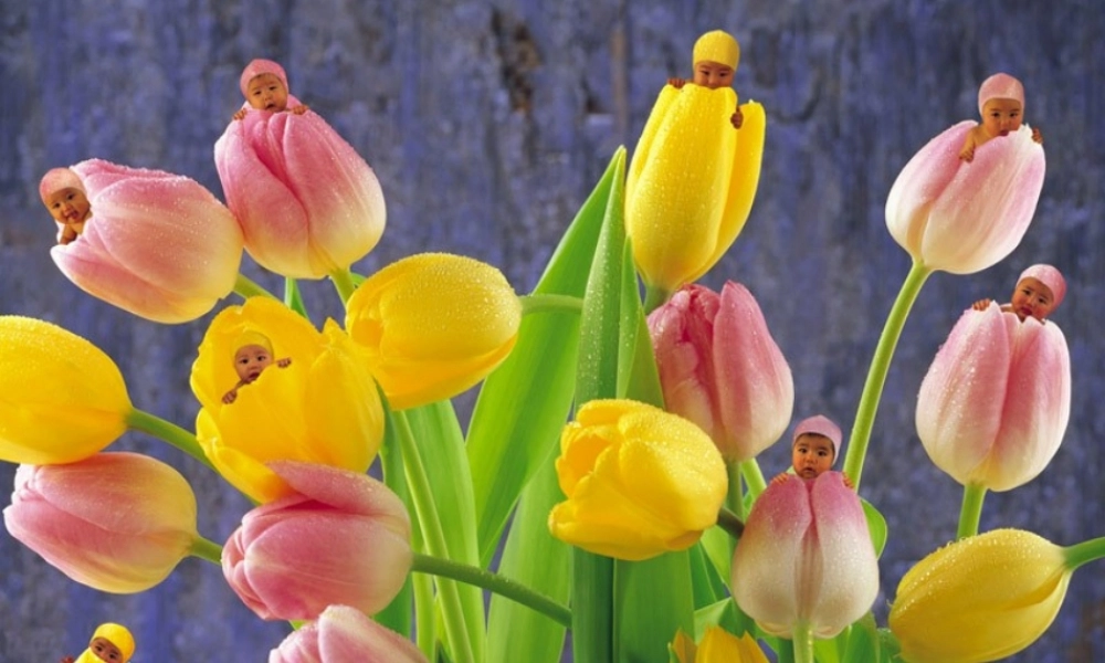 人的生殖 (1).ppt