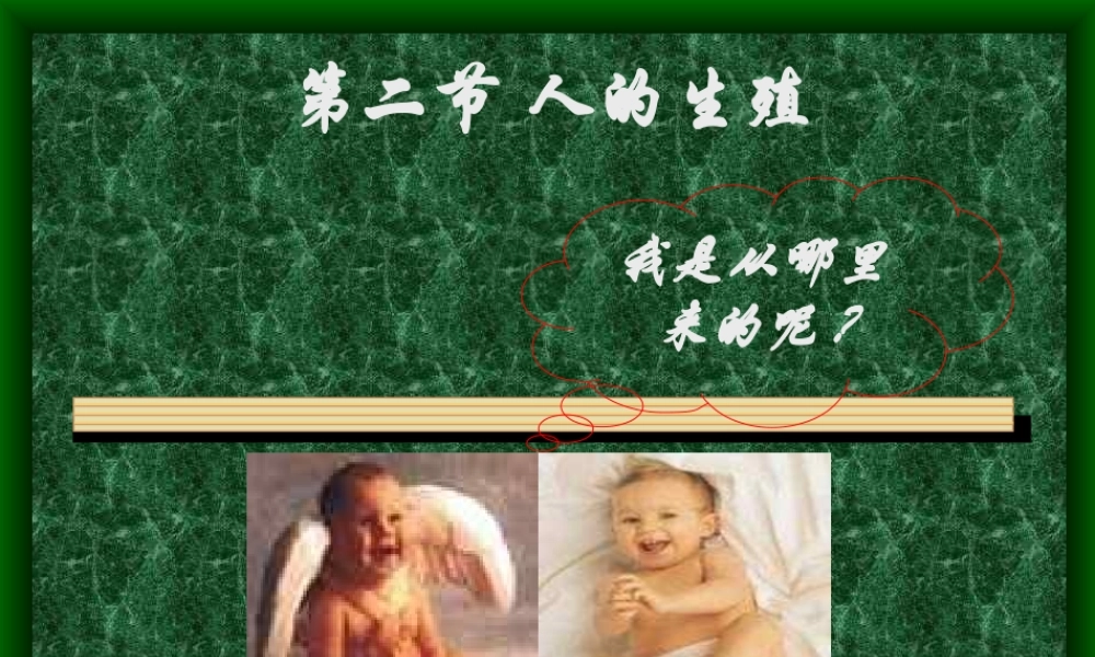 人的生殖课件.ppt