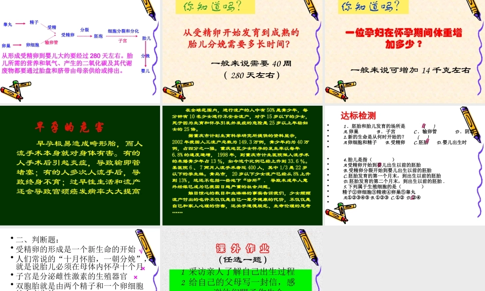 人的生殖课件.ppt