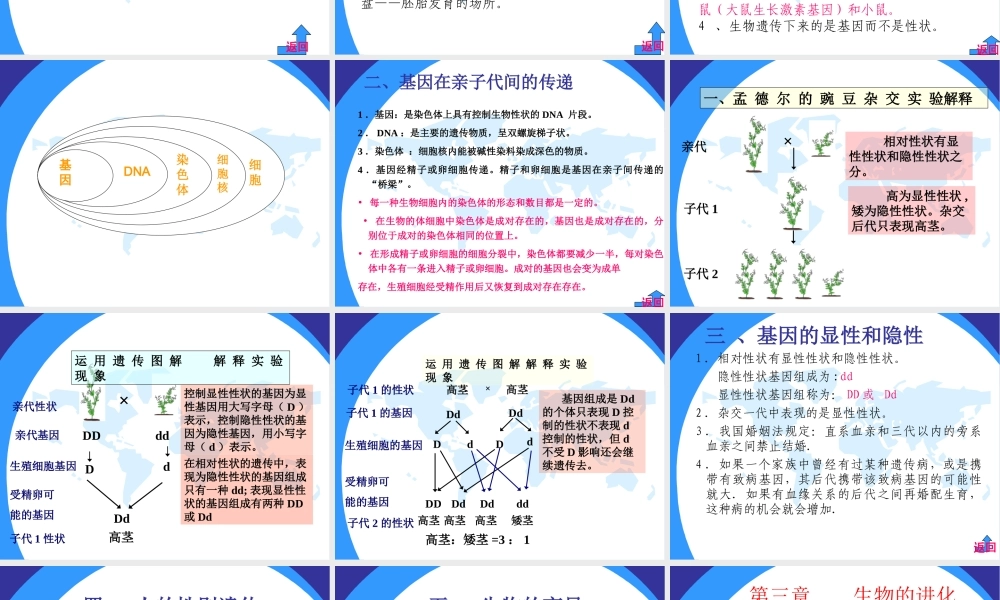 人教版八年级生物下册总复习习题PPT课件.ppt