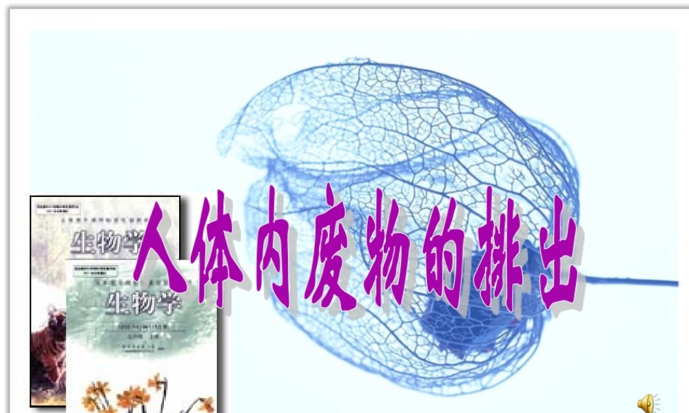 人教版第四单元第五章《人体内废物的排出》复习课件.ppt