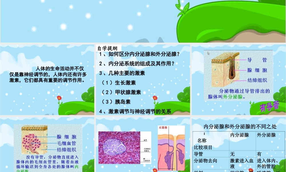 人教版_七年级生物__第六章__第四节____激素调节.ppt