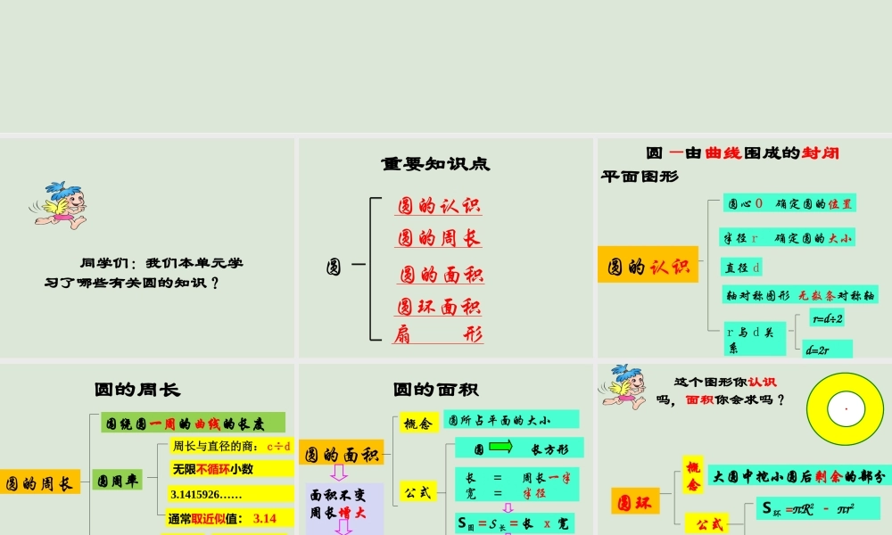 人教版六年级上册数学第五单元圆—整理与复习.ppt