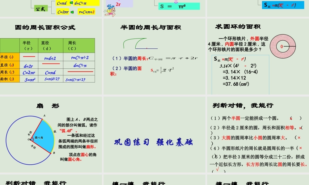人教版六年级上册数学第五单元圆—整理与复习.ppt