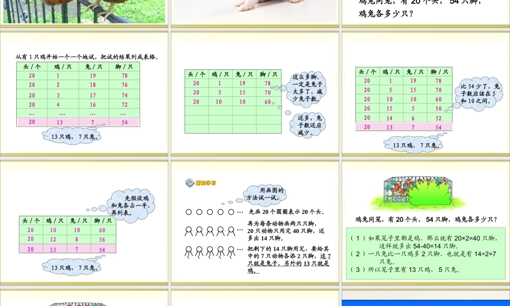 人教版六年级数学上册《数学广角》PPT课件.ppt