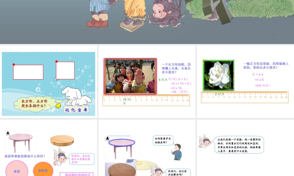 人教版六年级数学上册第五单元圆的周长.ppt