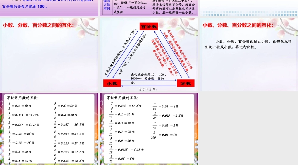 人教版六年级数学下册第六单元第四课时_数和代数—百分数.ppt