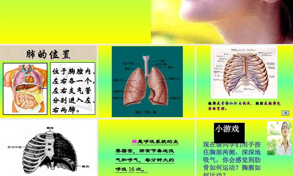 人教版七年级下生物：(2013年春使用)《第三章_第二节_发生在肺内的气体交换》课件4.ppt