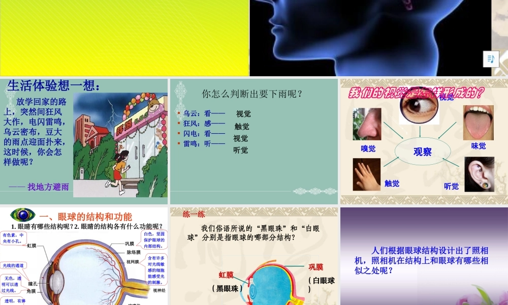 人教版七年级下册生物学第六章第一节人体对外界环境的感知.ppt