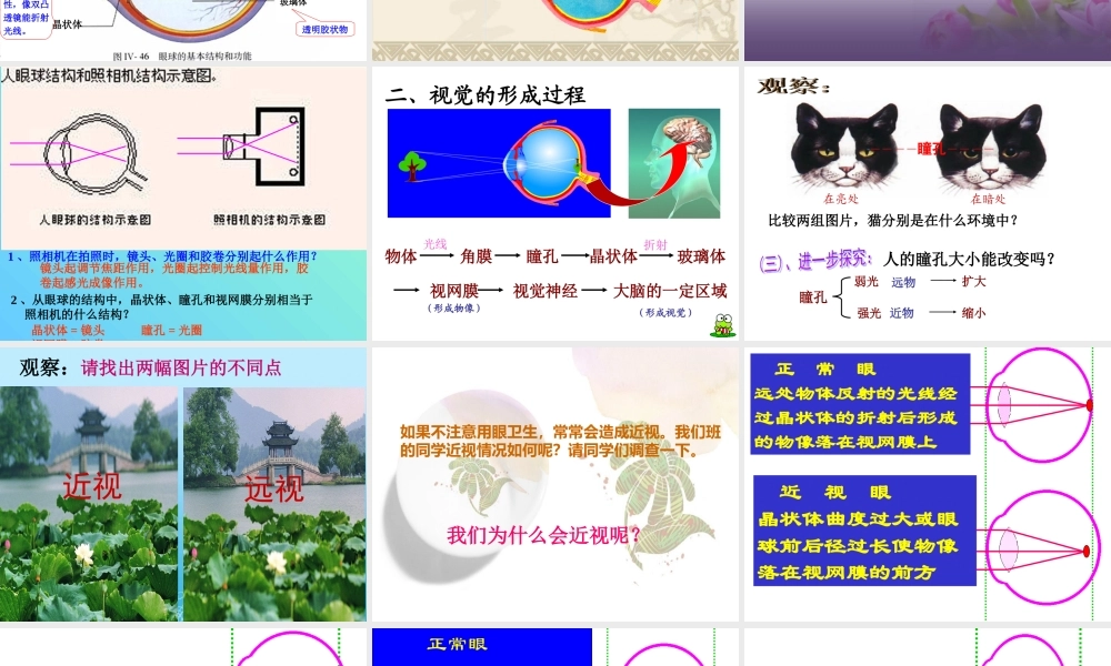 人教版七年级下册生物学第六章第一节人体对外界环境的感知.ppt