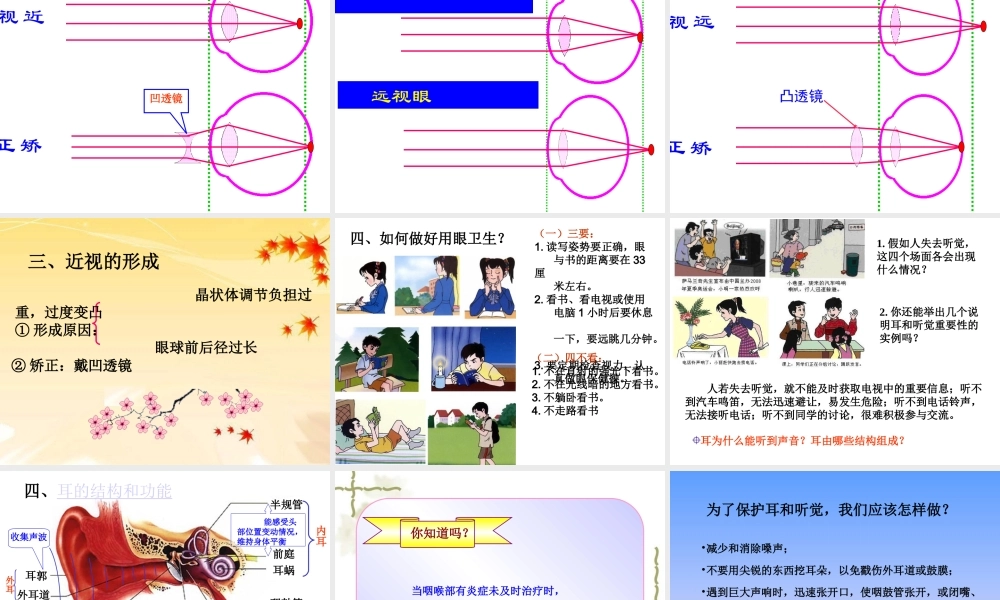 人教版七年级下册生物学第六章第一节人体对外界环境的感知.ppt