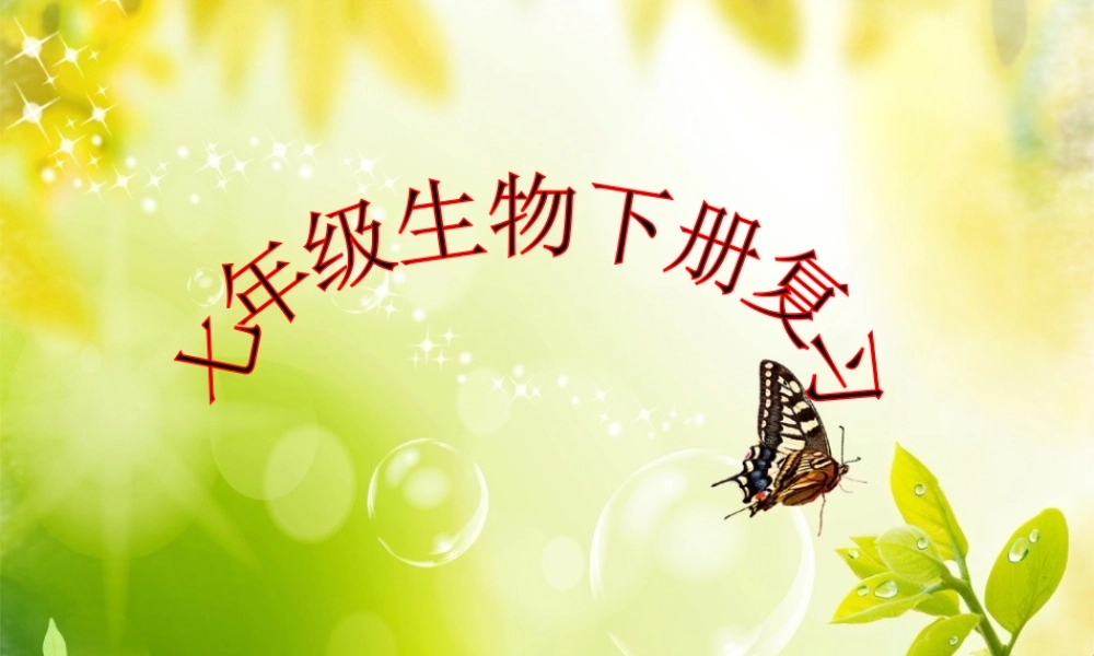 人教版七年级下册生物总复习课件 (1).ppt