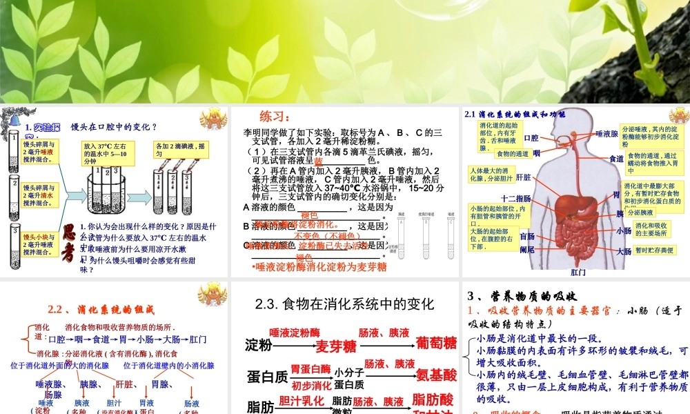 人教版七年级下册生物总复习课件 (1).ppt