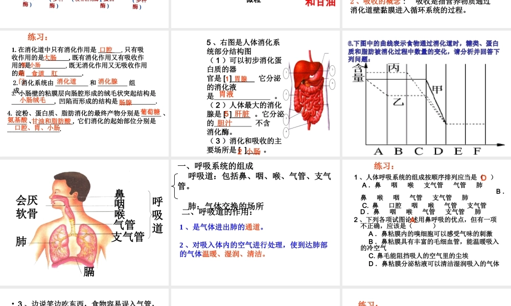 人教版七年级下册生物总复习课件 (1).ppt