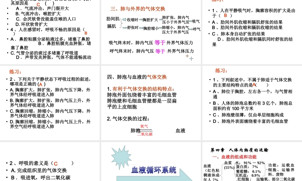 人教版七年级下册生物总复习课件 (1).ppt