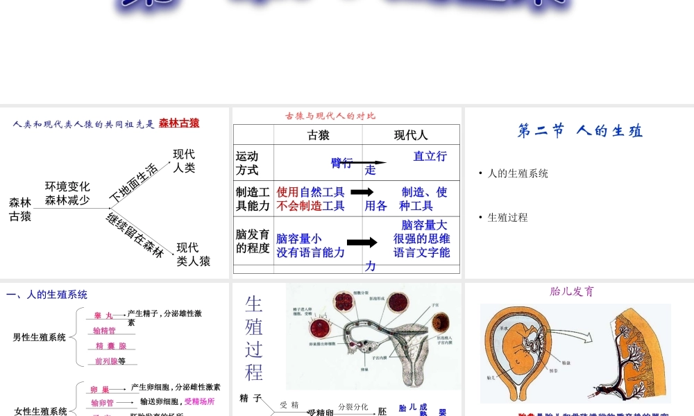 人教版七年级下册生物期末复习(六课时).ppt