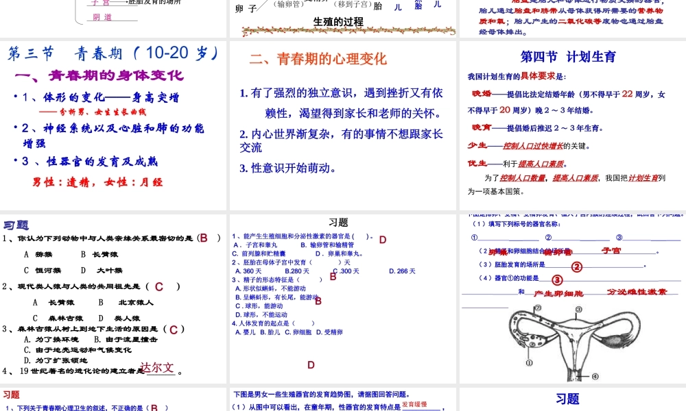 人教版七年级下册生物期末复习(六课时).ppt