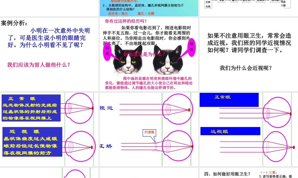 人教版七年级下册生物学第六章第一节人体对外界环境的感知 (1).ppt
